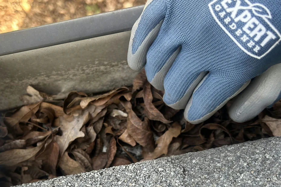 Gutter Cleaning Helotes TX