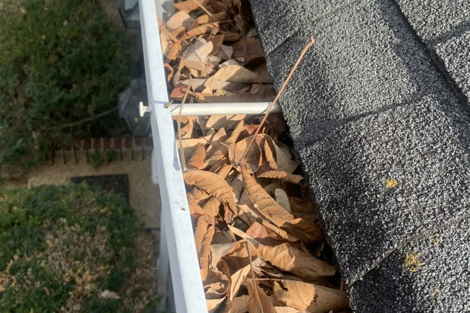 Gutter Cleaning Helotes TX